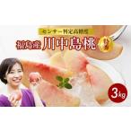 ふるさと納税 もも 福島県 国見町 透過式光センサー川中島白桃 特秀3kg相当 9玉〜11玉 ふくしま未来農業協同組合 | ふくしま 桃 福島 もも 国見 モモ 2026年8…