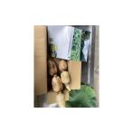 人参 大根 他根菜 里山れんこん1kg 1539837