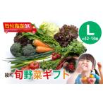 セット 詰合せ 旬野菜 Lサイズ 約12-13種