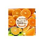 果物類 みかん わかやま旬のカンキツ定期便