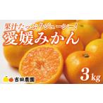 愛媛みかん 3kg