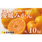 果物類 みかん 愛媛みかん 10kg