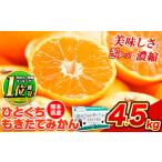 ふるさと納税 果物類 みかん 熊本県 荒尾市 2025年先行予約 訳あり みかん ひとくちもぎたてみかん 約 4.5kg (4.5kg×1箱) S-3Sサイズ 訳あり ご家庭用 熊本…