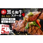 牛肉 訳あり A4~A5 博多和牛サーロインステーキセット 5kg