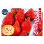 ショッピングふるさと納税 いちご ふるさと納税 いちご 群馬県 千代田町 《先行予約》2026年4月発送 いちご「 やよいひめ 」約350g×2パック 群馬県 千代田町 斉藤いちご園 4月発送
