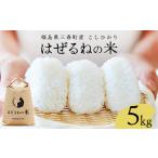 米 令和7年産 産コシヒカリ5kg はぜるねの米