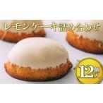 焼菓子 チョコレート レモンケーキ詰め合わせ 12個入