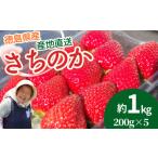 ふるさと納税 いちご 徳島県 小松島市 いちご 朝摘み 冷蔵 約1.0kg 200g (5パック) 季節限定 ブランド さちのか 苺 大粒 旬 産地 直送 期間限定 限定出荷 フレ…