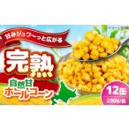 缶詰 瓶詰 野菜類 \リピーター続出 自然甘ホールコーン 12缶