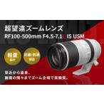 TV オーディオ カメラ 受注生産 <レンズRF100-500mm