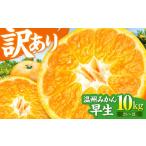 ふるさと納税 果物類 みかん 愛媛県 大洲市 11月中旬より順次発送 訳あり 温州みかん 10kg 早生 柑橘 愛媛県大洲市/カームシトラス AGBW007 先行予約 みかん…