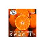 ふるさと納税 みかん・柑橘類 愛媛県 八幡浜市 創業百八年 愛媛みかんの老舗 甘平5kg(約15個〜30個) 家庭用 新口農園 F70-58 1554061