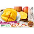 ショッピングふるさと納税 マンゴー ふるさと納税 マンゴー 宮崎県 高鍋町  宮崎県産完熟マンゴー 3L×2玉（約900g） 2026年4月中旬〜7月下旬までに順次出荷 果物 くだもの フルーツ アーウィン …