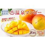 ふるさと納税 マンゴー 鹿児島県 垂水市 W-22201／ 訳あり品 鹿児島産 温泉マンゴー 700g 期間限定 2026年夏発送
