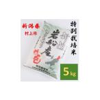 ふるさと納税 米 コシヒカリ 新潟県 村上市  令和7年産米 特別栽培米 新潟県村上市岩船産 コシヒカリ5kg　1013005 米 白米 精米 お米