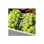 ふるさと納税 ぶどう 岡山県 津山市 きよとうファーム シャインマスカット 大2房入/計1.3kg~(岡山県産) 1548991