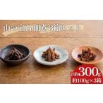 乾物 干ししいたけ FHS15 山の宝石 佃煮