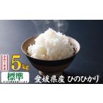 米 標準米 ひのひかり 4.5kg