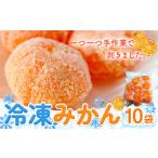 加工品等 冷凍みかん 10袋