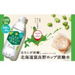 炭酸飲料 サイダー 定期便 3ヵ月 連続 全3回