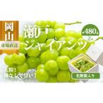 果物類 ぶどう jj-105 令和8年発送