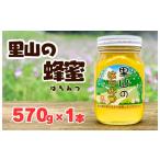 ありだ里山の蜂蜜 570g