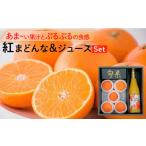 ふるさと納税 みかん・柑橘類 愛媛県 松山市  11月下旬から発送 紅まどんな・紅まどんなジュースセット（ 紅まどんな みかん ミカン 蜜柑 柑橘 フルーツ まど…