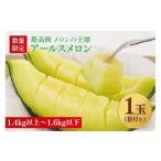 メロン メロン青肉 アールスメロン1玉 青肉