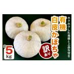 野菜類 訳あり 白皮かぼちゃ 有機 5kg以上