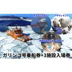 入場券 優待券 25-99 IMERU 冬期運航