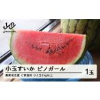 fu.... налог арбуз Yamagata префектура гора сторона блок предшествующий предварительный заказ сельское хозяйство торговец поддержка . для бытового использования 2026 год Yamagata префектура производство маленький шар арбуз Pinot девушка 1 шар (2kg и больше )... арбуз запад . фрукты овощи перевод ....