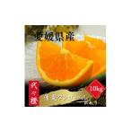 ふるさと納税 みかん・柑橘類 愛媛県 八幡浜市  トロッととろける果実 訳あり 清見タンゴール 10kg E83-26 1557490
