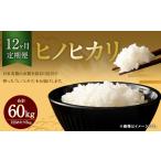米 ヒノヒカリ 12ヶ月定期便 5kg