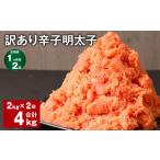 魚貝類 明太子 1ヶ月毎2回定期便 訳あり