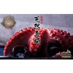 fu.... налог осьминог Ooita префектура . остров .. остров производство натуральный подлинный .1 шт C14