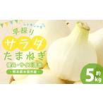ショッピングふるさと納税 玉ねぎ ふるさと納税 野菜類 玉ねぎ 熊本県 水俣市 1年に1度だけ 甘くて柔らかい 早採りサラダ玉ねぎ 約5kg 優品 サイズ混合 玉ねぎ タマネギ 玉葱 サラたま 春 新た…