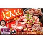 牛肉 ステーキ 訳あり サイコロステーキ お子様に大好評