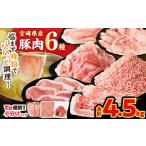 豚肉 ロース 令和8年 豚肉6種\てげスゲーセット 合計4.5kg
