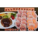 ふるさと納税 肉 ハンバーグ 岩手県 花巻市 みんな大好きハンバーグ 20個セット(ビーフ・ポーク) 2040