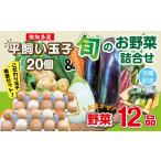 セット 詰合せ 野菜セット 12品目 &amp;平飼い玉子 20個