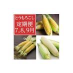 とうもろこし 発送月固定定期便 7月 8月