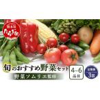 セット 詰合せ 定期便 3回 野菜ソムリエ 監修