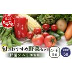野菜ソムリエ 監修 旬の野菜 セット 4~6品
