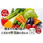 熊本の大地の恵み 旬のこだわり野菜詰め合わせセット