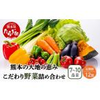 熊本の大地の恵み 旬のこだわり野菜詰め合わせセット