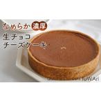 ケーキ カステラ チーズケーキ なめらか濃厚