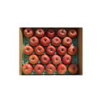 ふるさと納税 りんご 長野県 中野市 シャキシャキ 小玉 食べきりサイズ 完熟サンふじ 約5kg 信州りんご 1558032