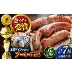 肉 ソーセージ 全6回定期便 ドイツIFFAメダル受賞セット