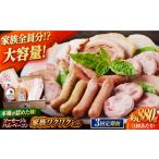 肉 ソーセージ 全3回定期便 家族ワクワクセット