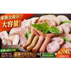 肉 ソーセージ 全6回定期便 家族ワクワクセット